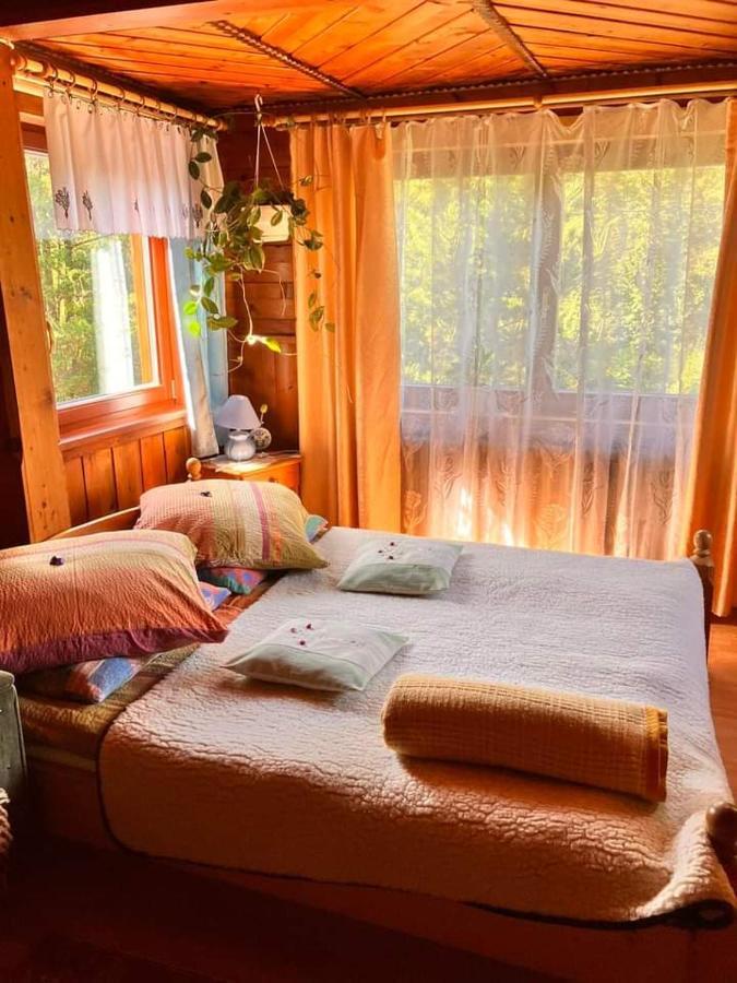 Chalupa Na Wierchu Zakopane Exteriér fotografie
